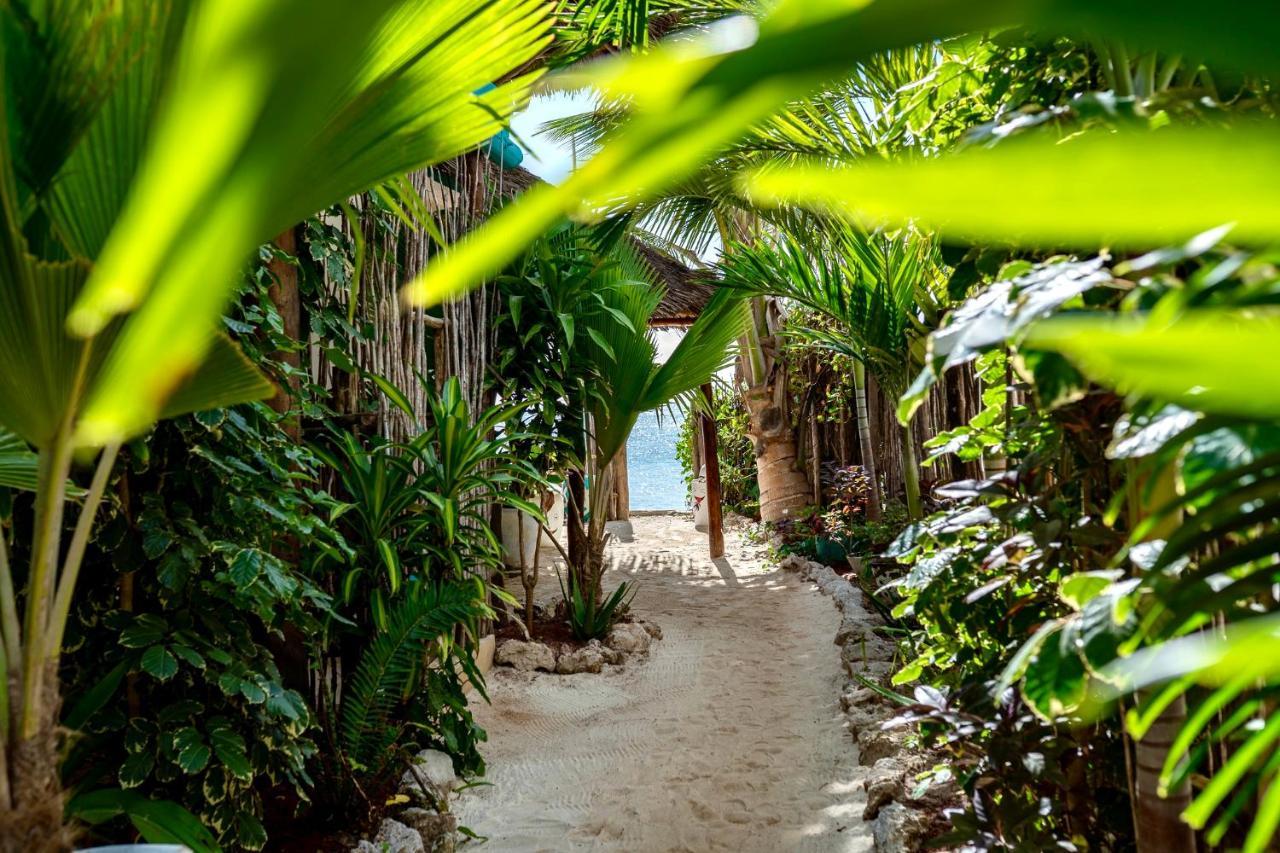 Sunrise Bed & Breakfast Jambiani  Exterior photo